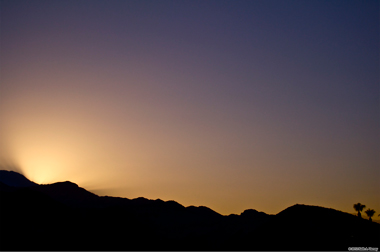 Palm Desert Sunset